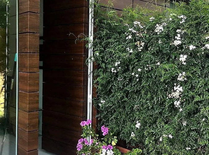 Appartamento Santiago De Compostela Angeles